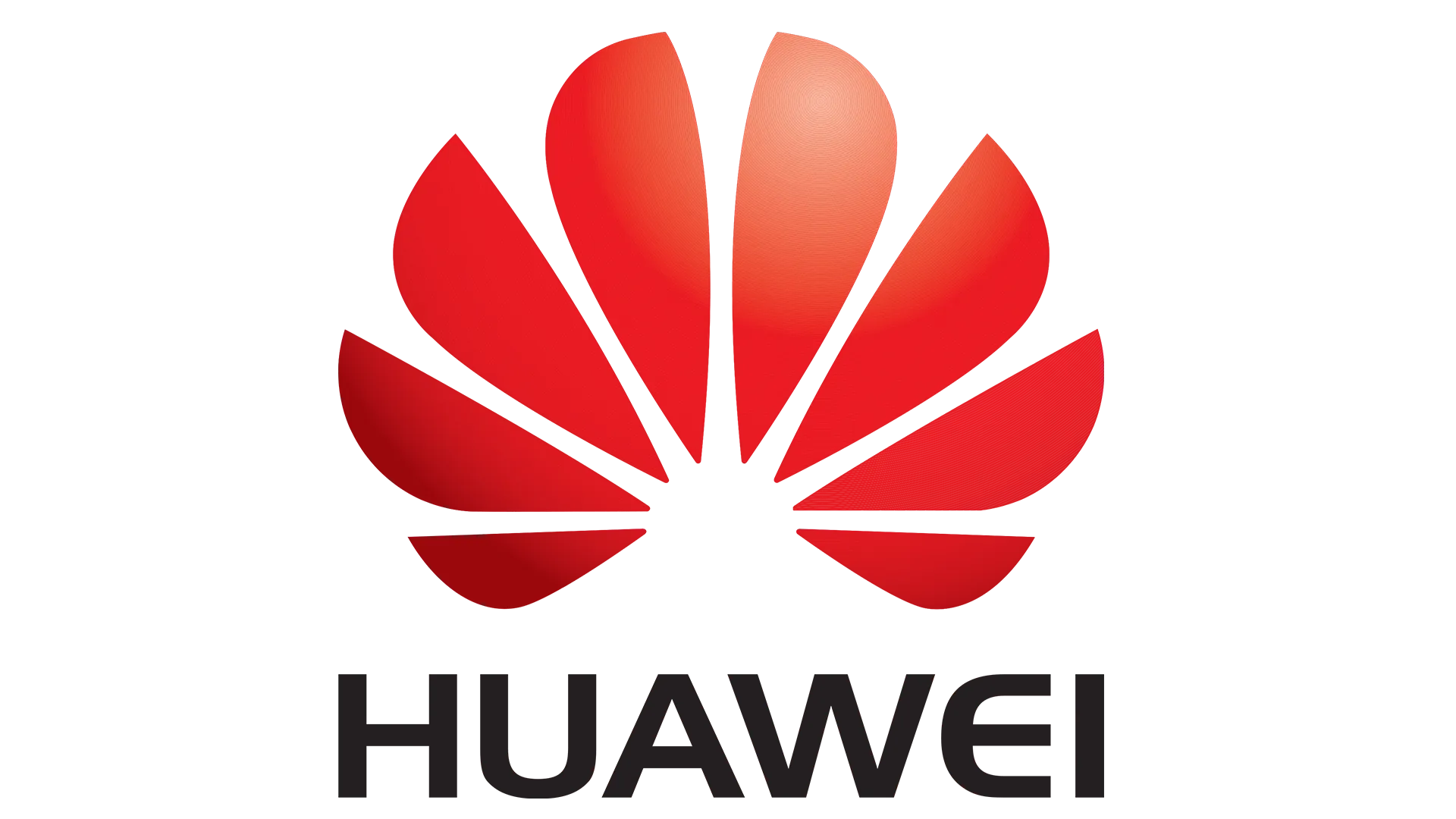 Partner Logo 703